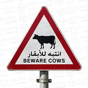 Livestock crossing